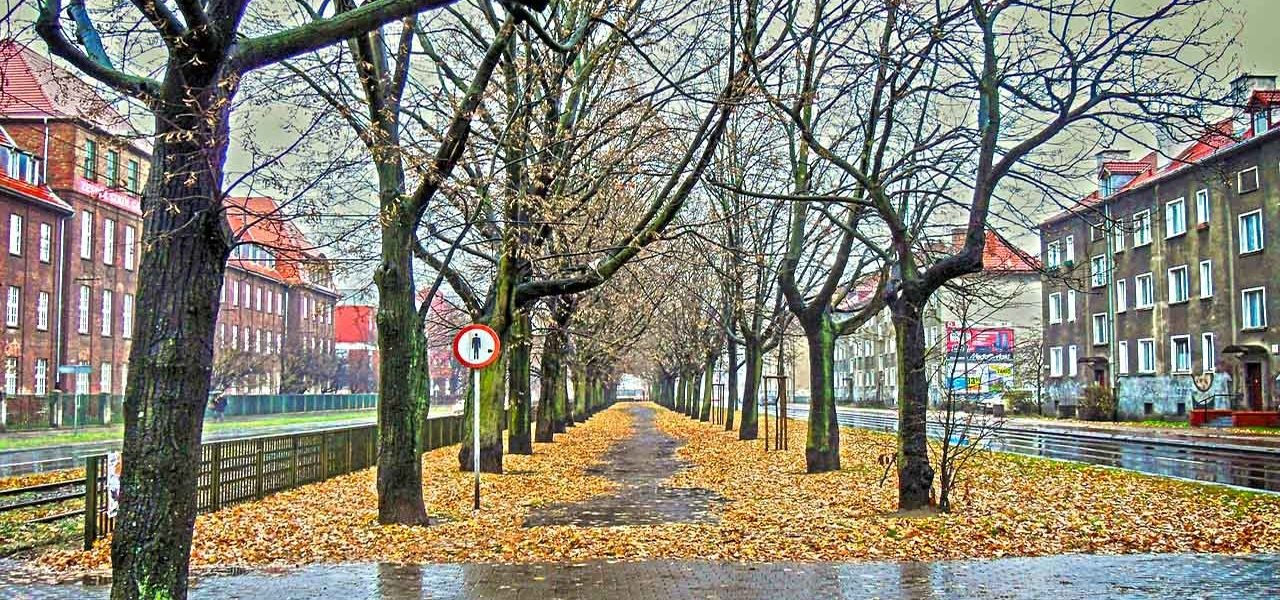 When to go to Poland When to go to Poland